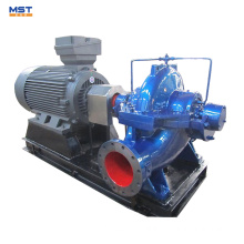 Power plant raw water pumps with motor